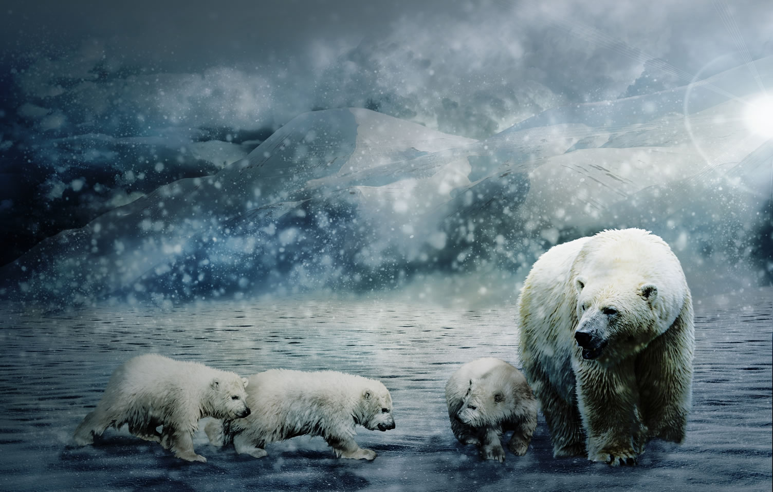 Family Of Polar Bears Wallpaper Mural