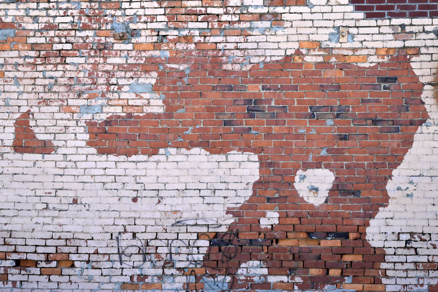 Distressed Wall Wallpaper Mural     