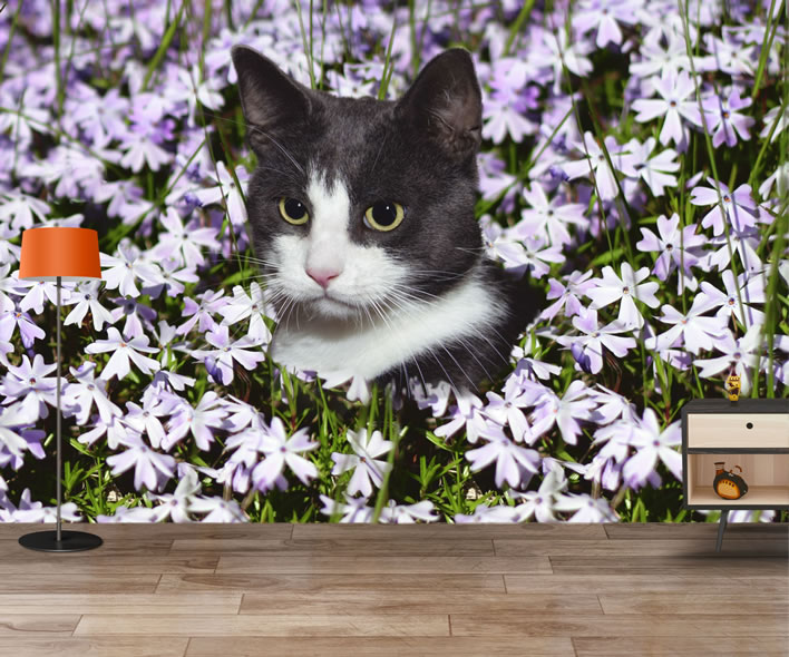 Cat And Flowers Wallpaper Mural