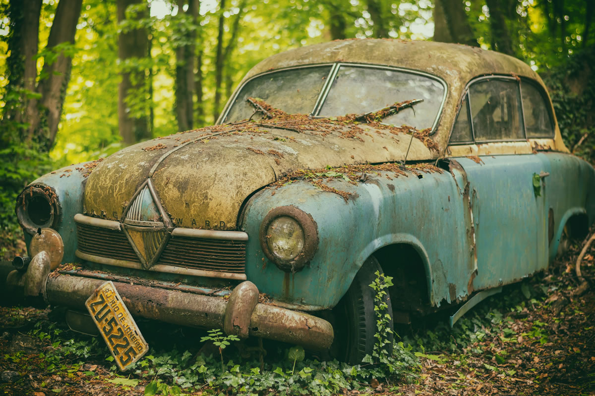 Abandoned Vehicle In The Woods Wallpaper Mural