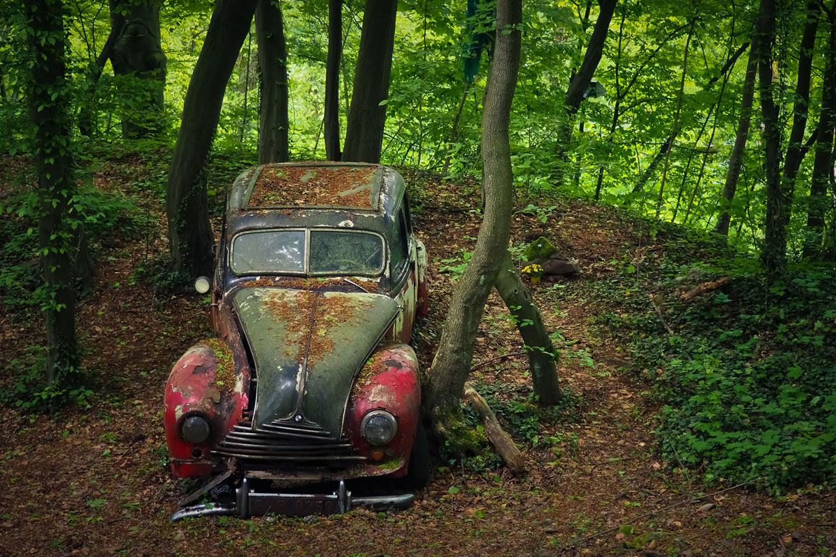 Car In The Woods Wallpaper Mural